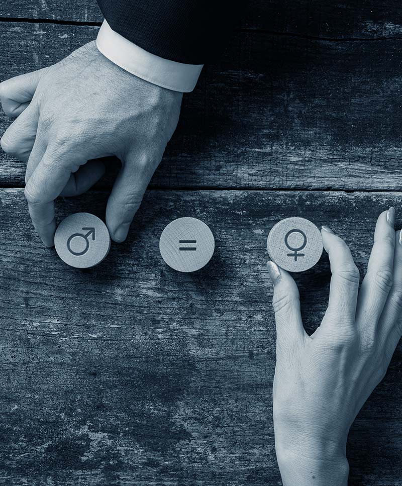 gender-quality-law